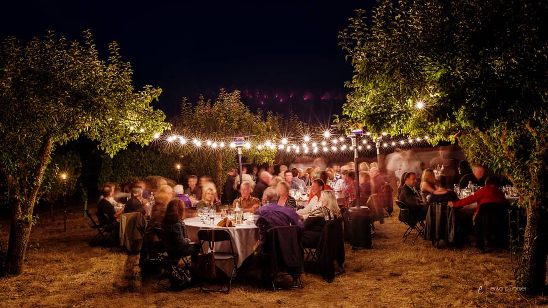 Field and Vine dinner series at local farms