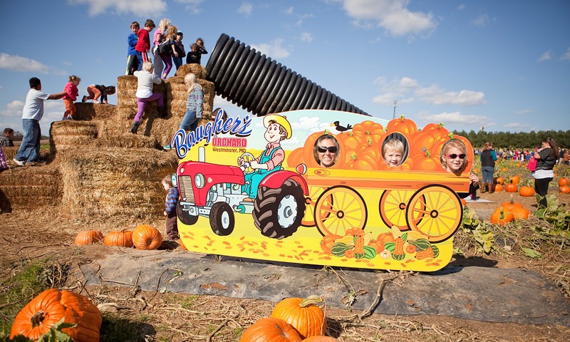 Fall Fun at Baugher’s Orchard
