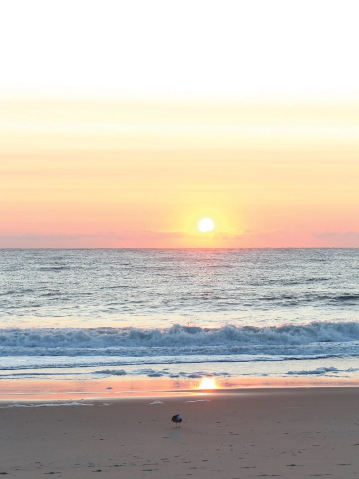 Rehoboth Beach and Dewey Beach Delaware, beach sunset