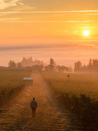Yamhill Brooks Winery - Sunset, Willamette Valley, OR