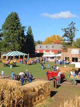 Harvestfest, Willamette Valley, OR