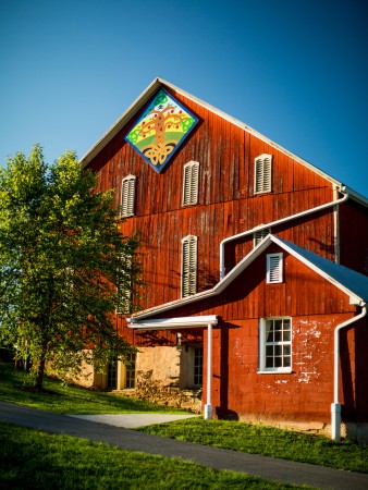 Barn Quilt - Tree of Life, Barn Quilt Trail, Carroll County, MD