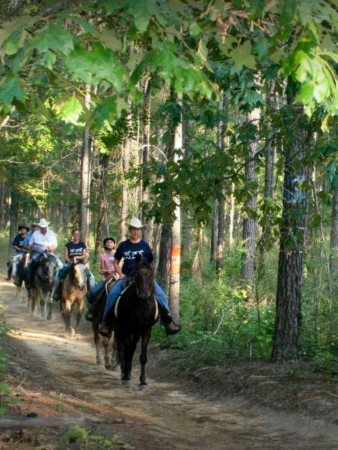 Horseback Riding, Alexandria-Pineville, Louisiana
