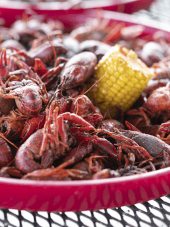 Louisiana Crawfish Heaven