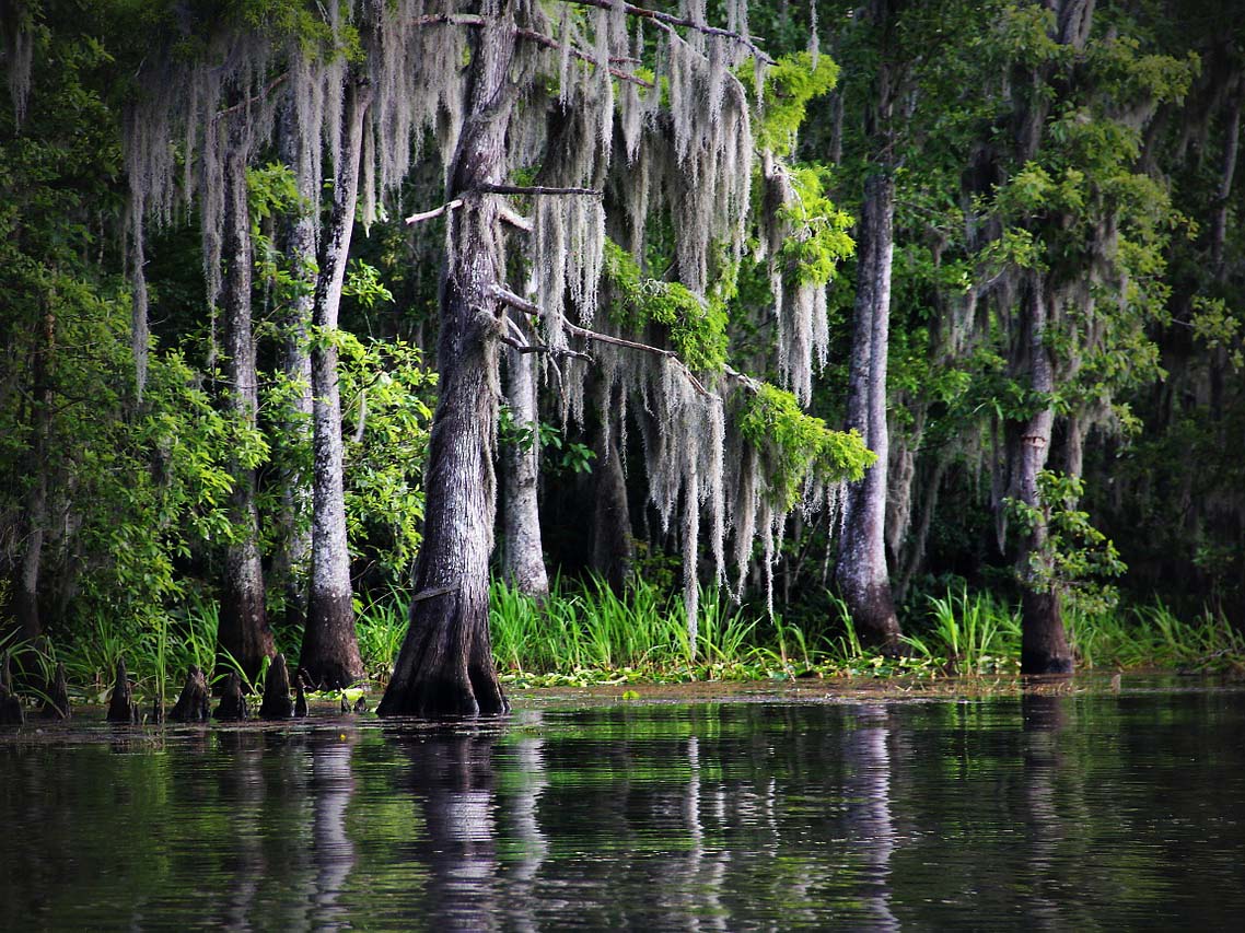 Louisiana | Travel Guides Free