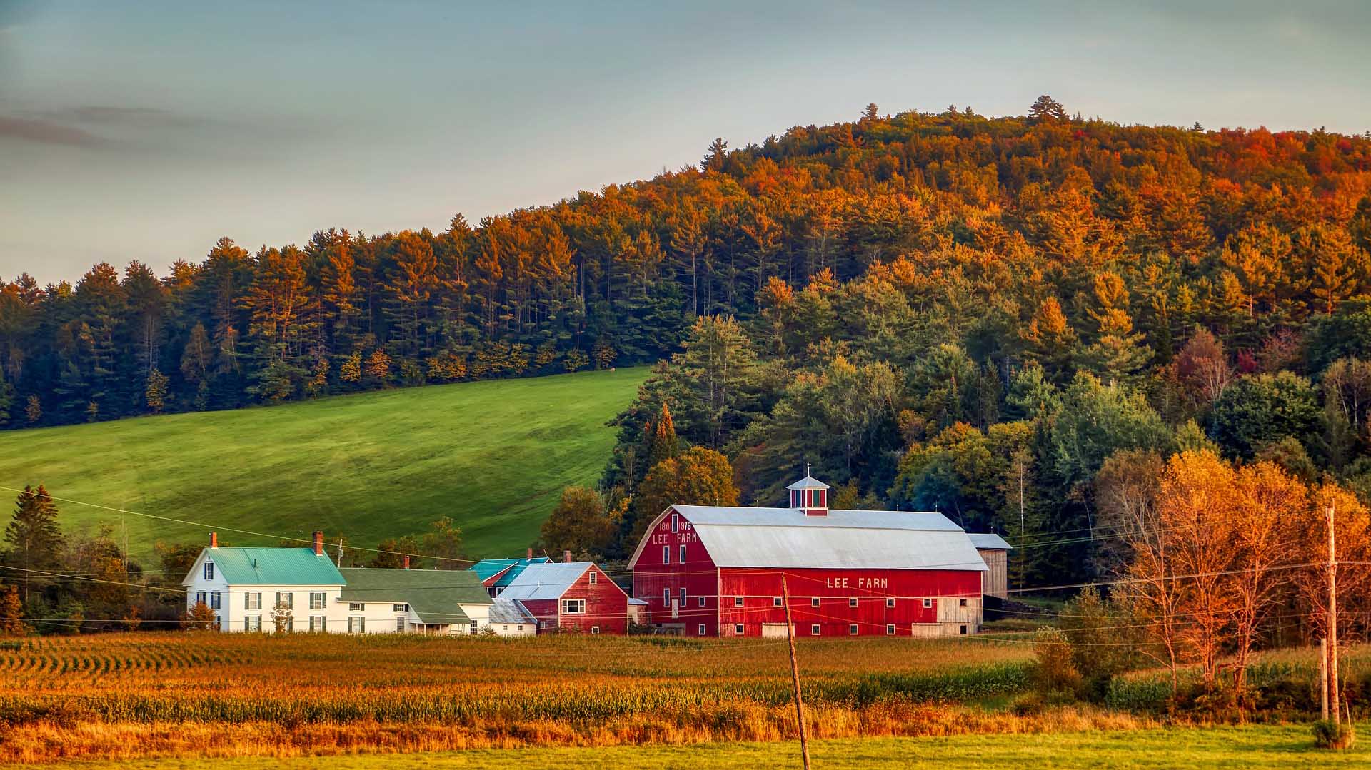 New Hampshire Farm