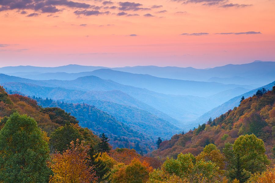 Visit North Carolina | Travel Guides Free