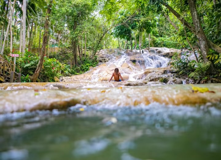 Jamaica - Nature