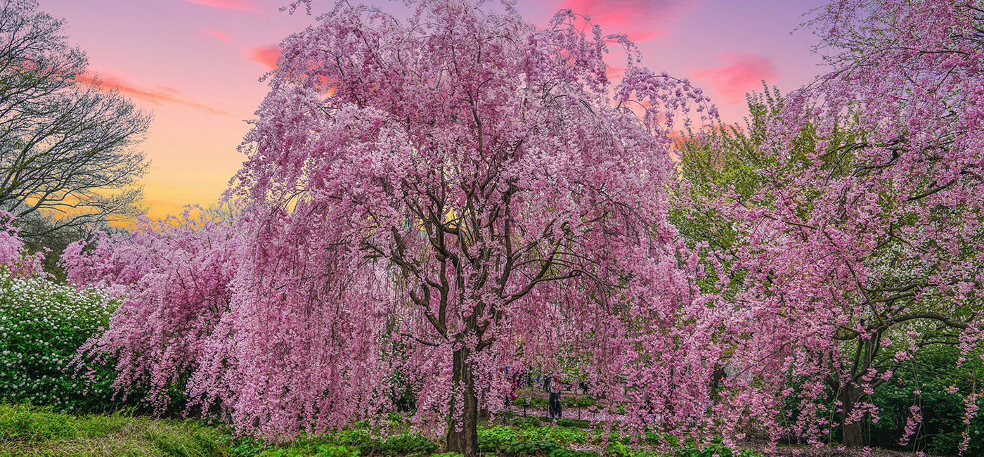 Explore New Jersey's natural wonders in 58+ scenic state & national parks up and down the state.