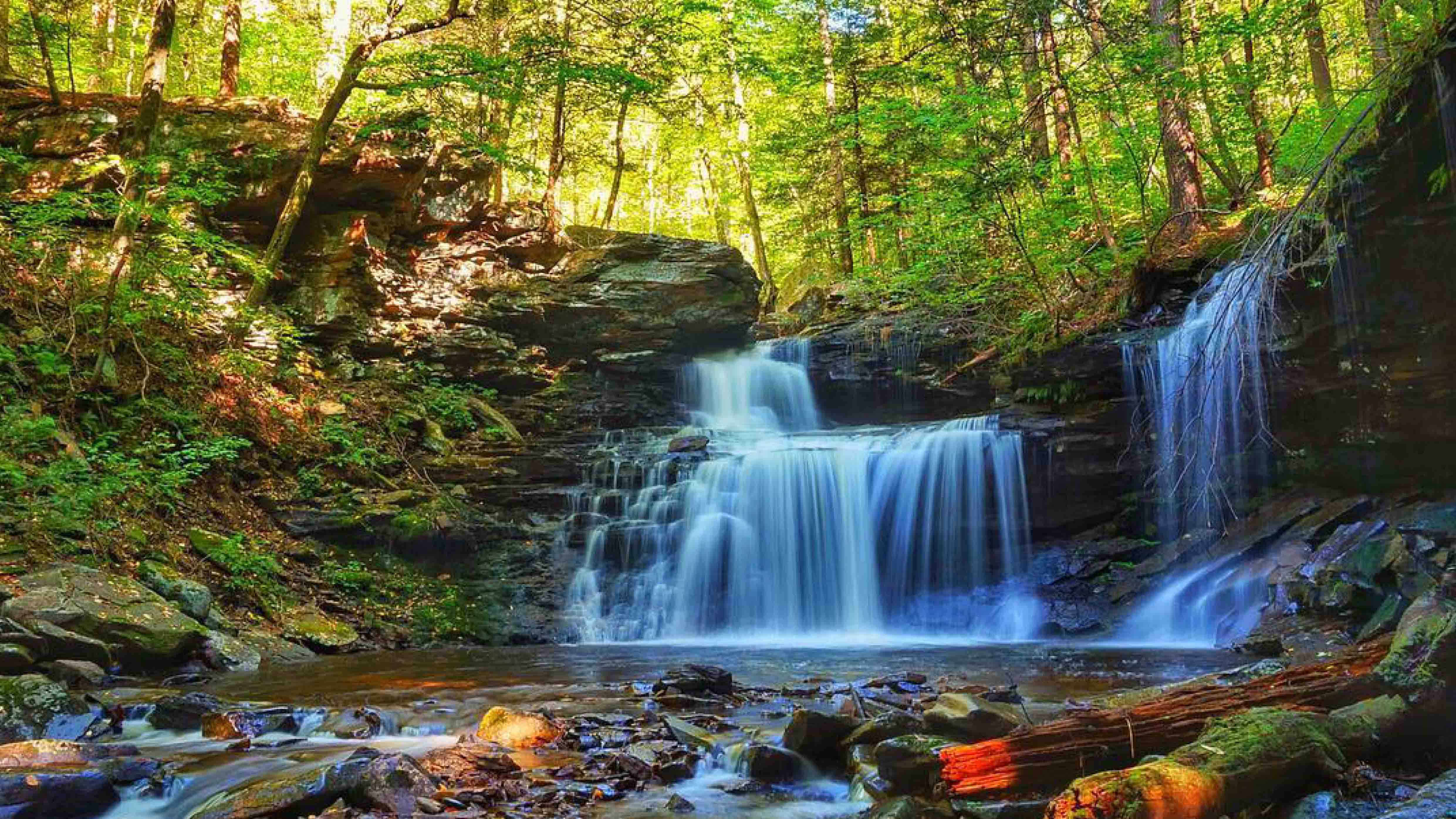 Waterfall, Ricketts Glen State Park, Benton, Columbia County