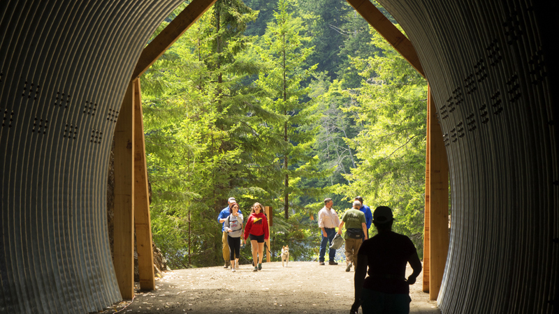 Spruce Railroad Trail Segment, Olympic Peninsula